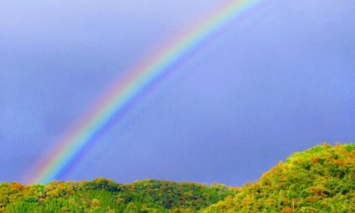 宝宝吃花生酱好处网 - 为你提供小宝宝吃花生酱危害、宝宝吃花生容易消化吗
